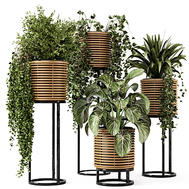 Rattan Pot Indoor Plants Set 3D model image 1 