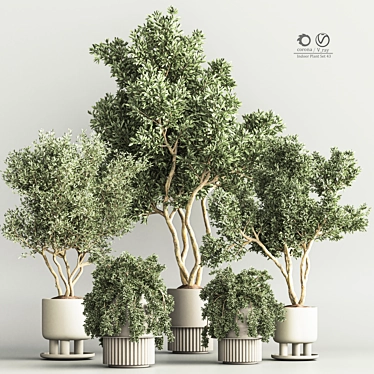 Modern Indoor Plant Set 3D 3D model image 1 