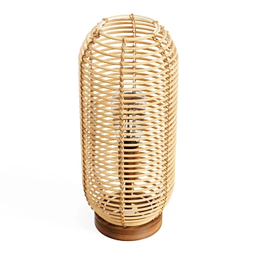 Boho Rattan Lantern Table Lamp 3D model image 1 