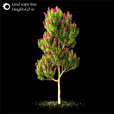 Corona Landscape Tree 2014 4.0m 3D model image 1 