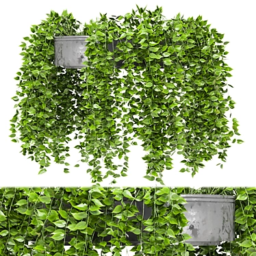 Metal Box Indoor Hanging Plants 3D model image 1 