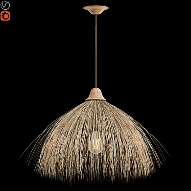 Natural Dry Leaf Ceiling Lamp 3D model image 1 