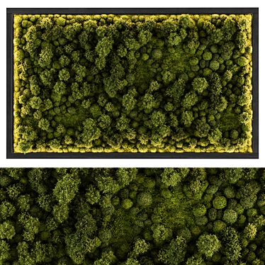 Verdant Vibe Moss Wall Decor 3D model image 1 