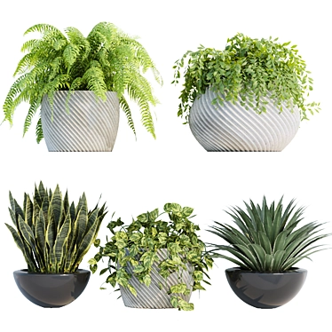 Indoor Plants Shelf Collection 3D 3D model image 1 