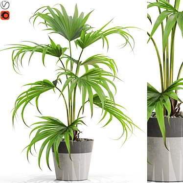 Botanical Mix 3D Models Pack 3D model image 1 