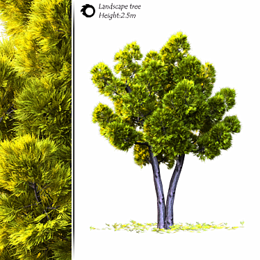 2014 Landscape Tree 2.5m Height 3D model image 1 