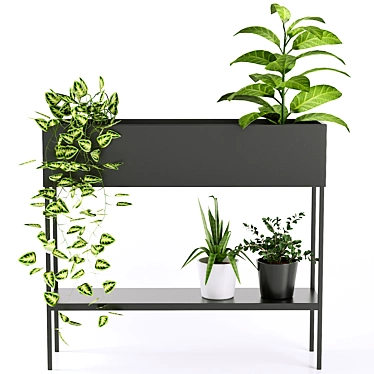Consuela Console Stand for Flowers 3D model image 1 