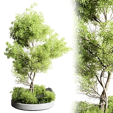 Versatile 85 Plant Pot Collection 3D model image 1 