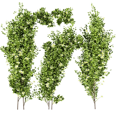 Premium Plant Collection for Outdoor Landscaping 3D model image 1 