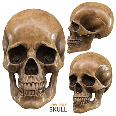 Low-Poly Skull 3D Model 3D model image 1 