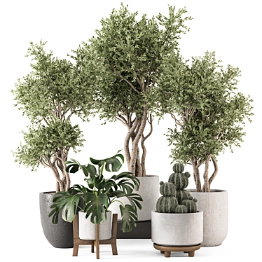 Ferm Living Bau Indoor Plant 3D model image 1 