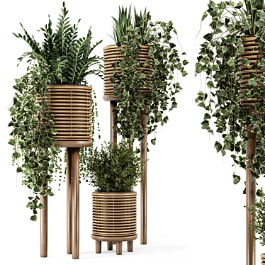 Natural Rattan Indoor Plant Set 3D model image 1 