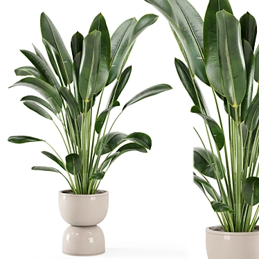 Rustic Indoor Plants Set 652 3D model image 1 