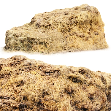 Manure Hay 3D Scan 3D model image 1 