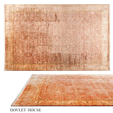 Silk Kashmir Rug Art 16552 3D model image 1 