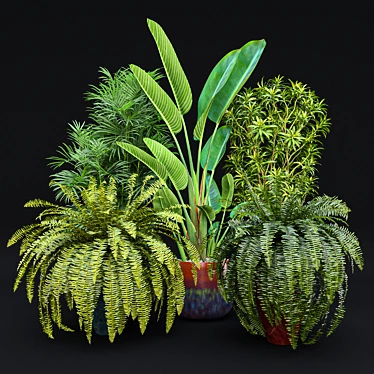 Tropical Indoor Plant Set 9 3D model image 1 