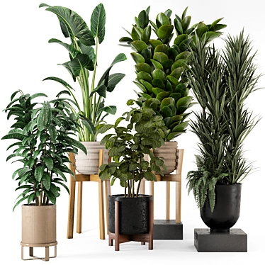 Large Indoor Plants Set FermLiving 3D model image 1 