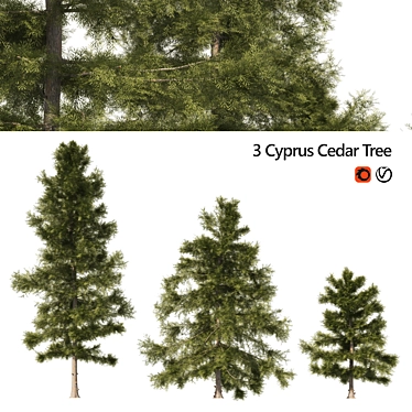 3 Cyprus Cedar Tree Models 3D model image 1 