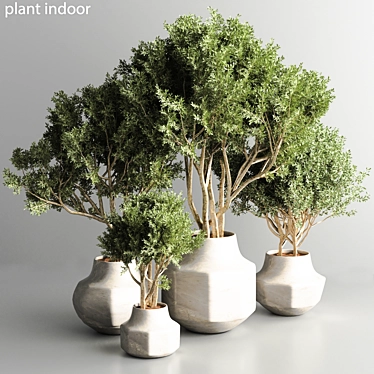 Stylish Indoor Plant Model 2015 3D model image 1 