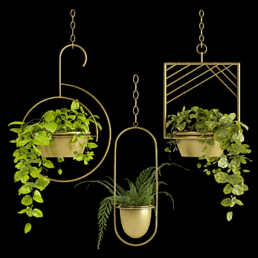 PBR Hanging Money Fern Plants 3D model image 1 