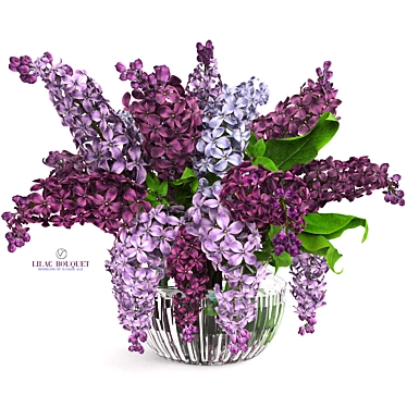 Lavender Beauty 3D Model  3D model image 1 