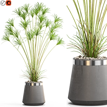 Exotic Plant Collection Set 667 3D model image 1 