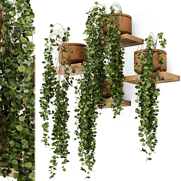 Concrete Pot Hanging Plants Set 3D model image 1 