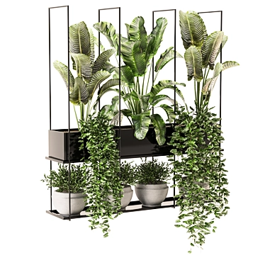 Metal Box Set of Hanging Plants 3D model image 1 