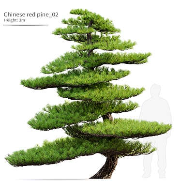 Red Pine Bonsai Tree Model 3D model image 1 