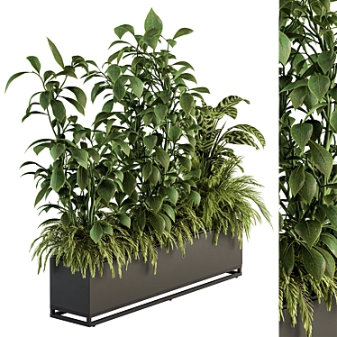 Indoor Plant Set in Box 3D model image 1 