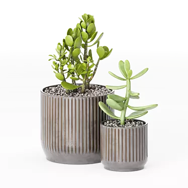 Chic Indoor Plants in Decorative Pots 3D model image 1 