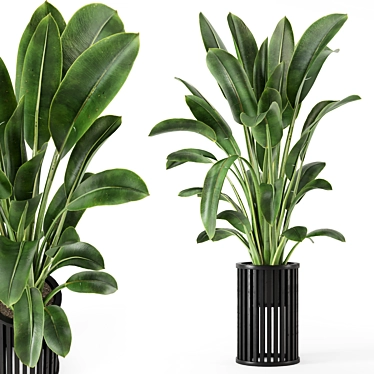 Modern Indoor Plants Set Design 3D model image 1 