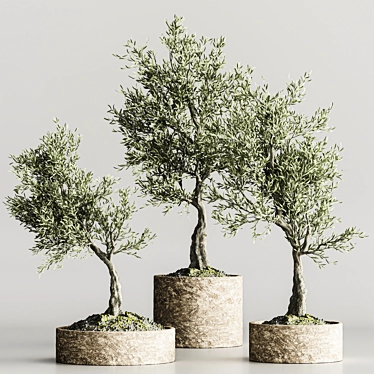  Bonsai Collection 2015 Set 3D model image 1 