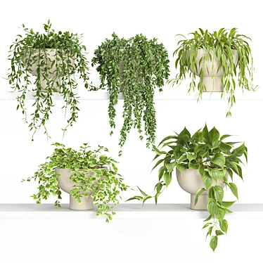 Modern Hanging Plant Shelf Stand 3D model image 1 