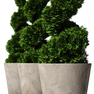 Modern Concrete Planter with Topiary Cypress 3D model image 1 