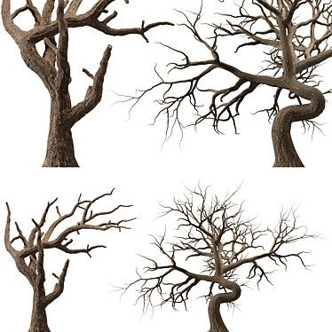 Desert Tree 3D Model Package 3D model image 1 