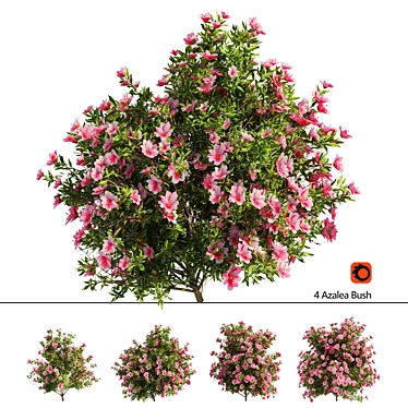 Springtime Azalea Flower Bush Kit 3D model image 1 