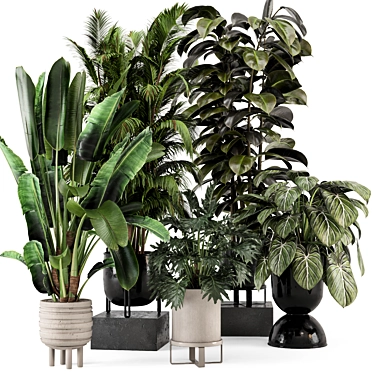 Stylish Indoor Plants Set 3D 3D model image 1 