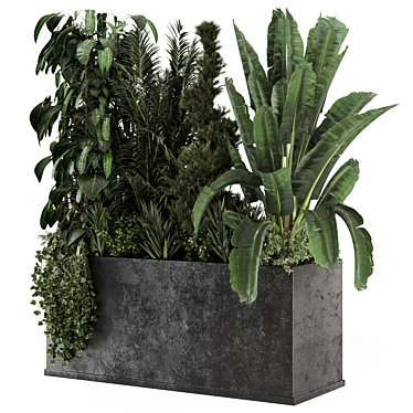 Modern Outdoor Plants in Concrete 3D model image 1 