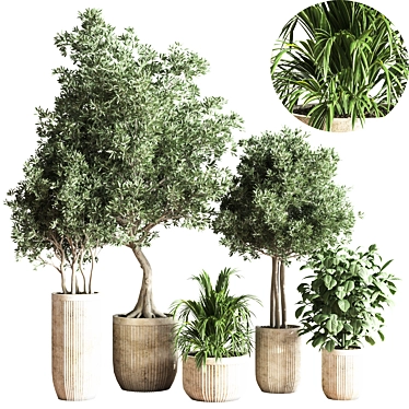 Modern Indoor Plant Set 3D model image 1 