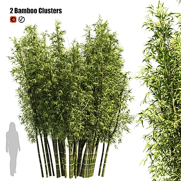 Bamboo Clusters 3D Models 3D model image 1 