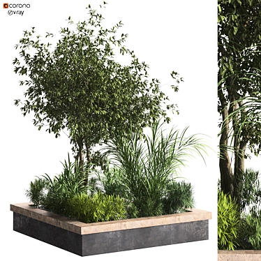 Green Boxed Plant Set 3D 3D model image 1 