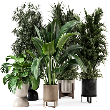 Stylish Indoor Plants Set 3D 3D model image 1 