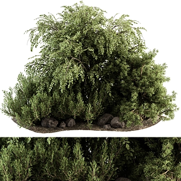 Outdoor Bush Garden Plant Set 3D model image 1 