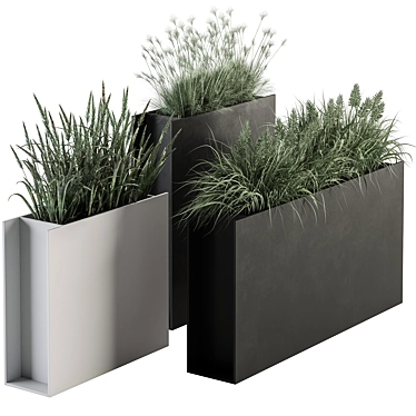 Plants in Outdoor Box Display 3D model image 1 