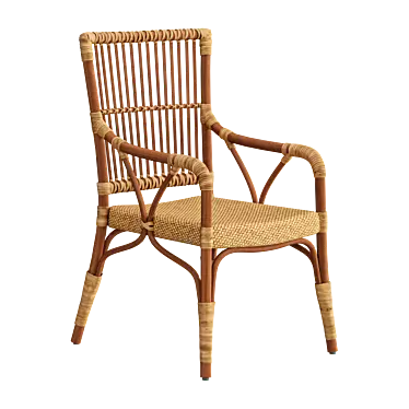 Sika Rattan Piano Chair 3D model image 1 