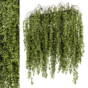 Concrete Box Hanging Indoor Plants 3D model image 1 