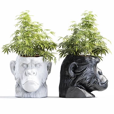 Ape Head Planter