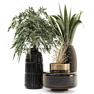 Glass Pot Indoor Plant Collection 3D model image 1 