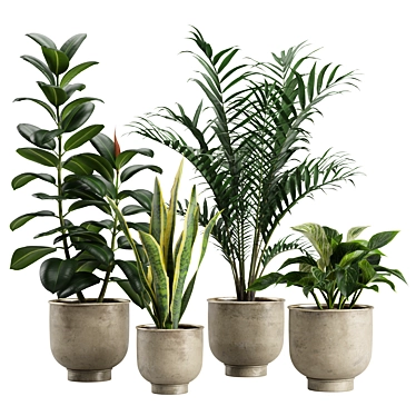 Indoor Exotic Plants Bundle Pack 3D model image 1 